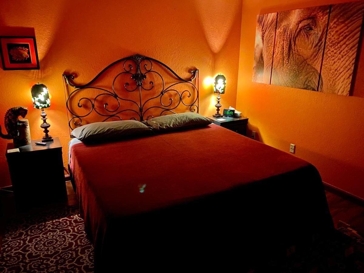 Bed and Breakfast My Big Art Project Santa Rosa Exteriér fotografie