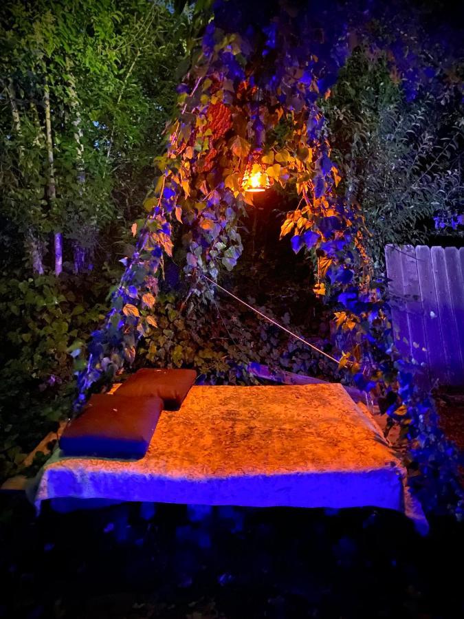 Bed and Breakfast My Big Art Project Santa Rosa Exteriér fotografie